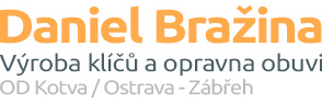 Daniel Bražina